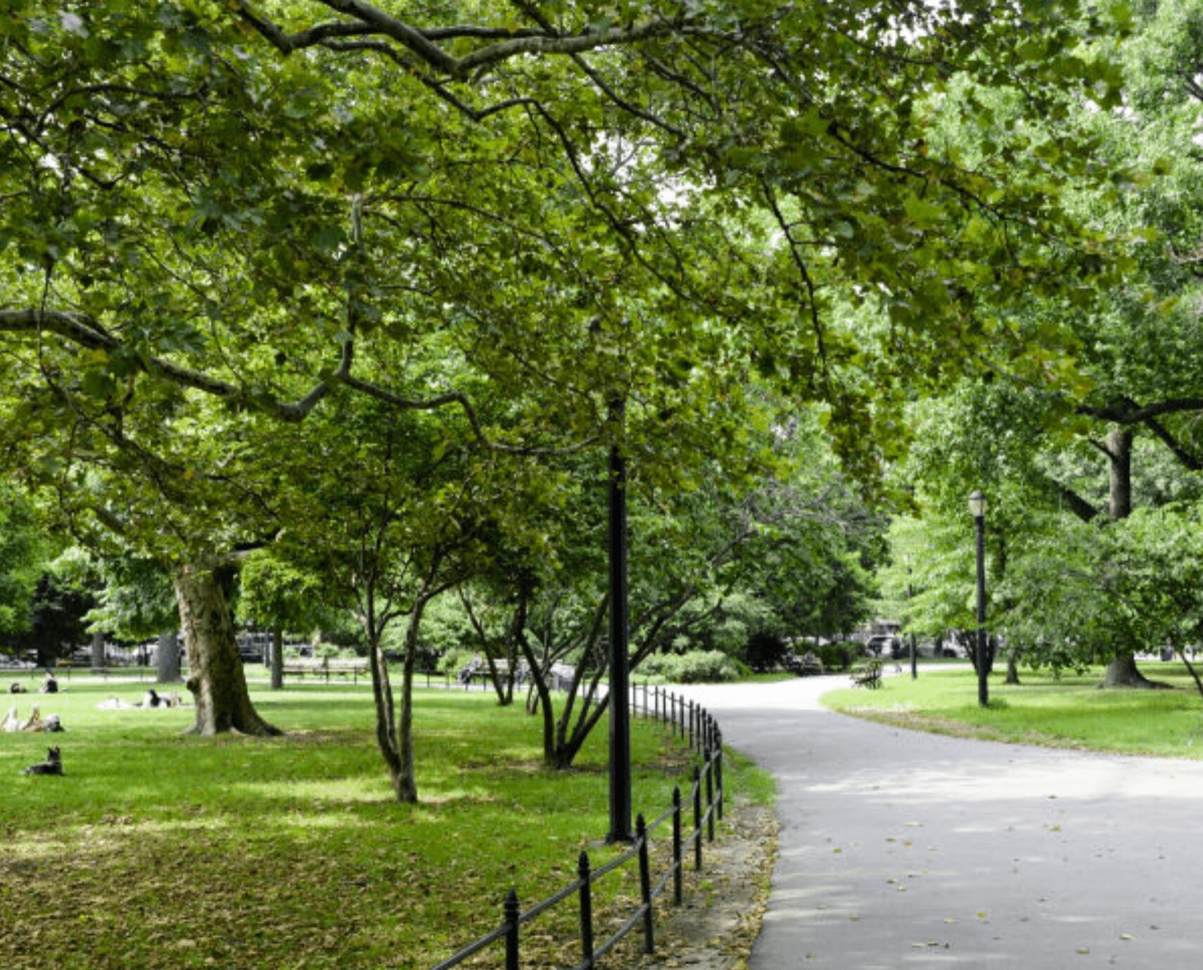 Пр парка. MCCARREN Park. Улица Винчестер парк Лондон. Проспект мира парк.